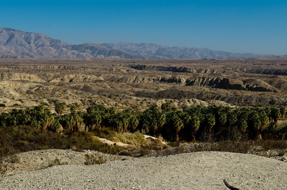 Thousand Palms_212