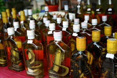 Unbelievable Poisonous Wines And Liquor