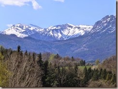 P1000417
