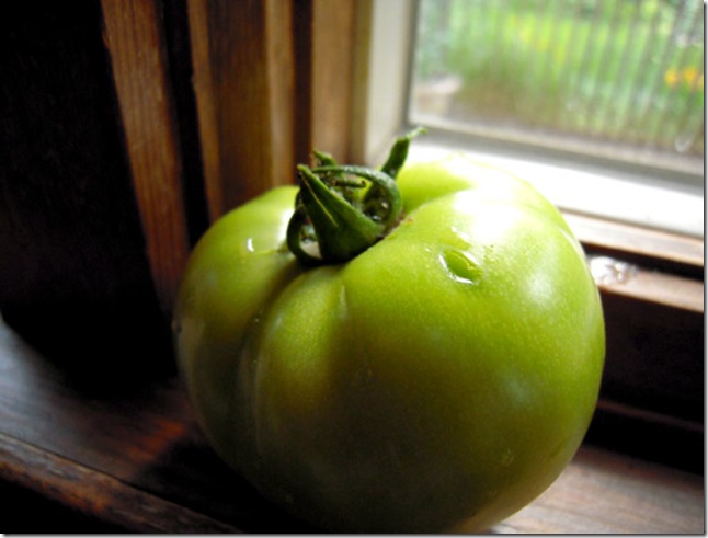 webtomatothief