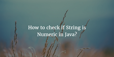 How to check if a String is numeric in Java