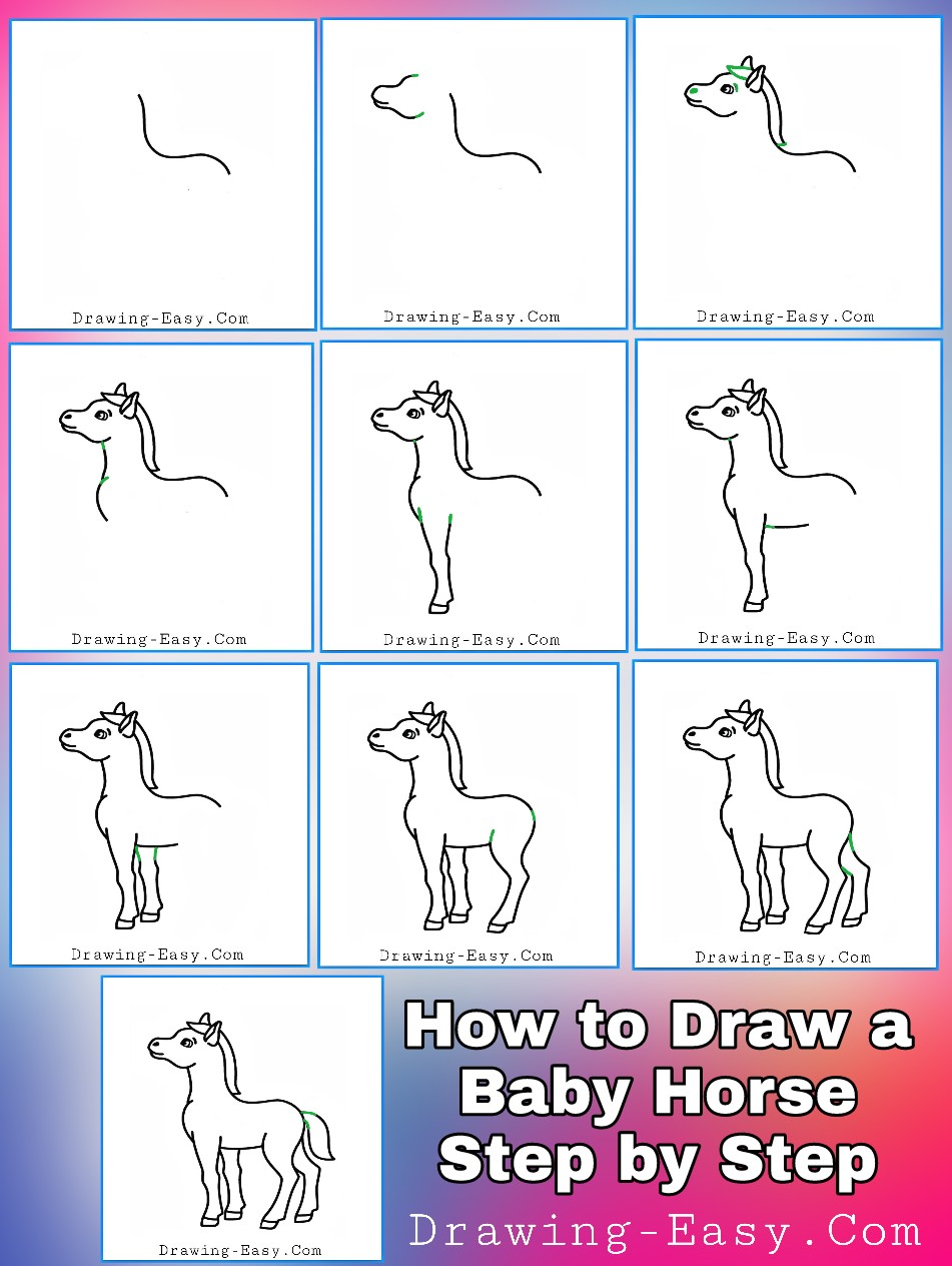 How to draw a Baby Horse | Step By Steps Baby Horse Drawing For Kids