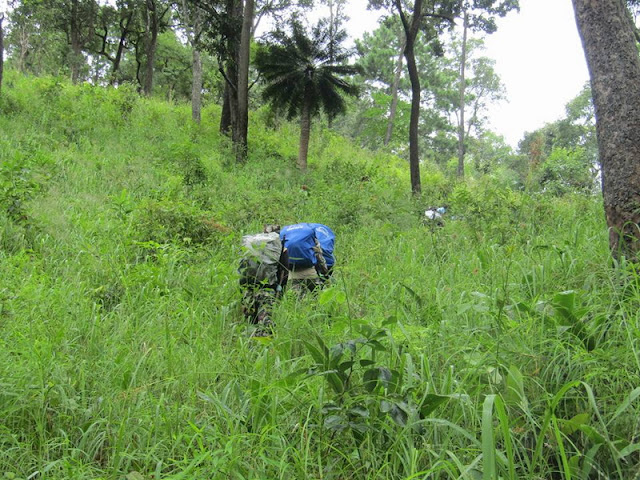 doi wiang pha national park, doi wieang pha national park, doi wiang pha, doi wieang pha,  doi wiangpha national park, doi wiengpha national park