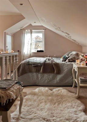 Sheepskin Rugs