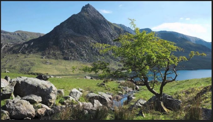 Enjoy a Stay in Snowdonia National Park