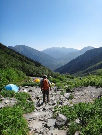 237-DSC07353