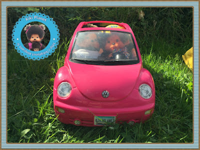 camping mike dundee bubbles volkswagen new beetle barbie kiki monchhichi singe Sekiguchi vintage ajena chien cobaye souris tortue rare collection 