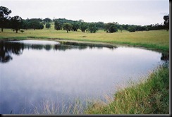 F1000012 (Small)