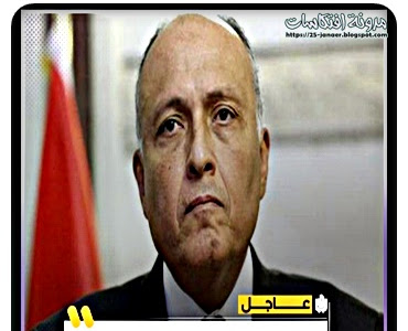   وزير الخارجية عن تأثر  مصر بـ #الملء_الثاني لـ #سد_النهضة: التقييم الفني يشير إلى أنه لن يقع ضرر على مصر 