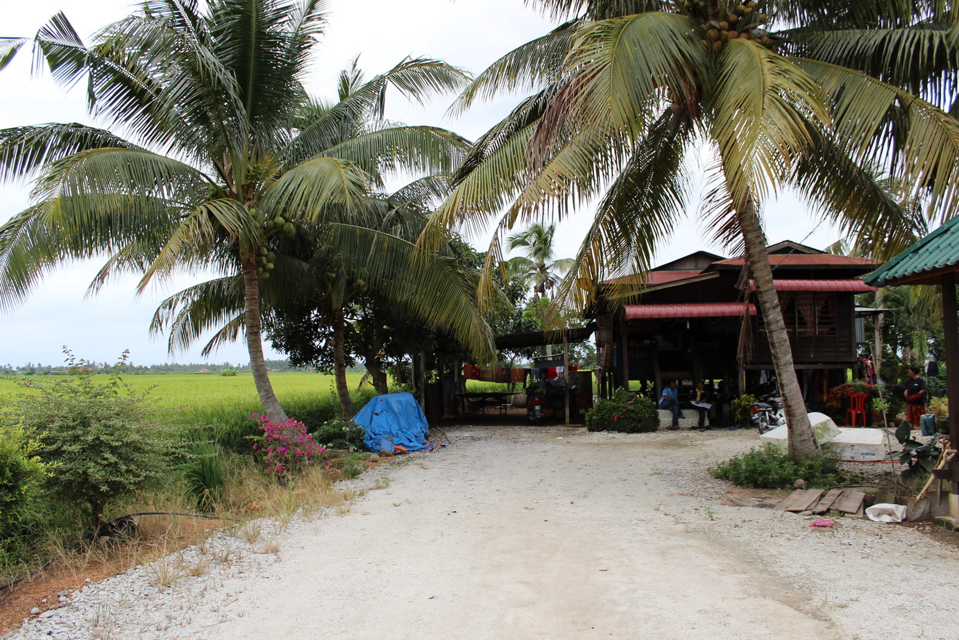 Gambar Taman Alam Melayu Nusantara Lawatan Tapak Pantai 