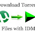 How To Download Torrent Files With IDM