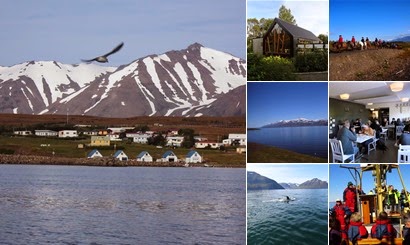 Vis album