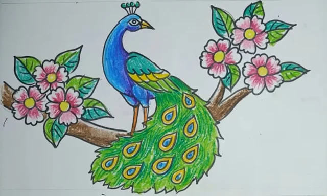 Peacock drawing,  Peacock painting, peacock drawing, peacock drawing easy, peacock drawing easy and beautiful, peacock drawing with colour, peacock drawing with colour pencils, peacock drawing images with colour, peacock drawing step by step, peacock drawing image, easy peacock drawing, beautiful peacock drawing, peacock drawing, peacock drawing easy and beautiful, peacock drawing with colour, peacock sketch,