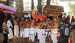 Thanga Pallakku, Thiruavathara Utsavam,1000th Birthday ,Udaiyavar ,Udayavar,Sashrabdhi Utsavam, Ramanujar,Emperumanar, Thiruvallikeni, Sri PArthasarathy Perumal, Temple, 2017, Video, Divya Prabhandam,Utsavam,