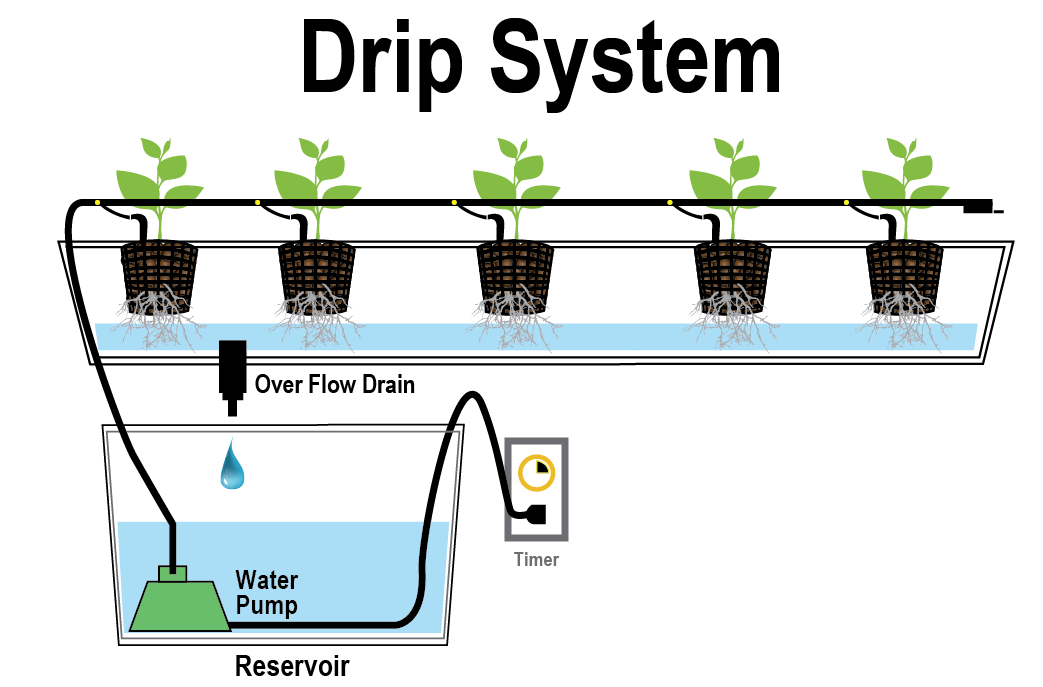 hidroponik-sistem-drip