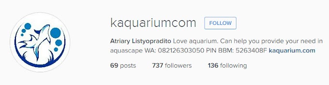 Kampoeng Aquarium on Instagram