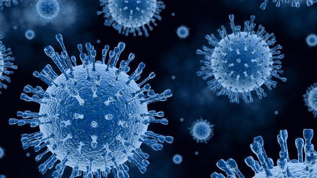 O vírus da gripe de Brisbane, um dos mais perigosos do mundo