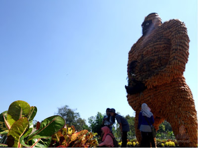 wisata Kampung Anggrek Gunung Kelud