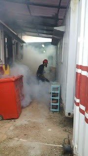 Fogging Nyamuk DBD Bali