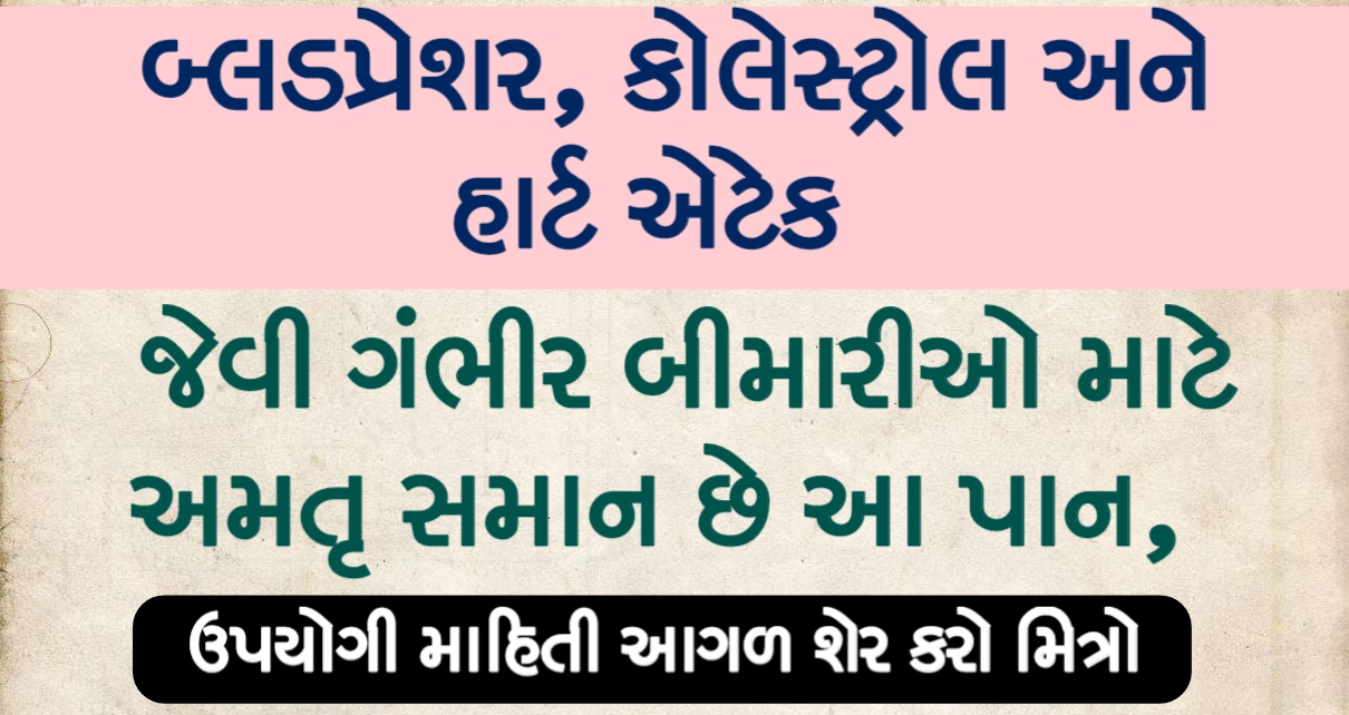 બ્લડપ્રેશર, કોલેસ્ટ્રોલ અને હાર્ટ એટેક, જેવી ગંભીર બીમારીઓ માટે અમતૃ સમાન છે આ પાન,