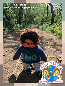 kiki Monchhichi chien berger australien Le Havre foret plage