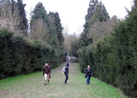 The Yew Walk at High Elms. Even this was pretty slippery.
