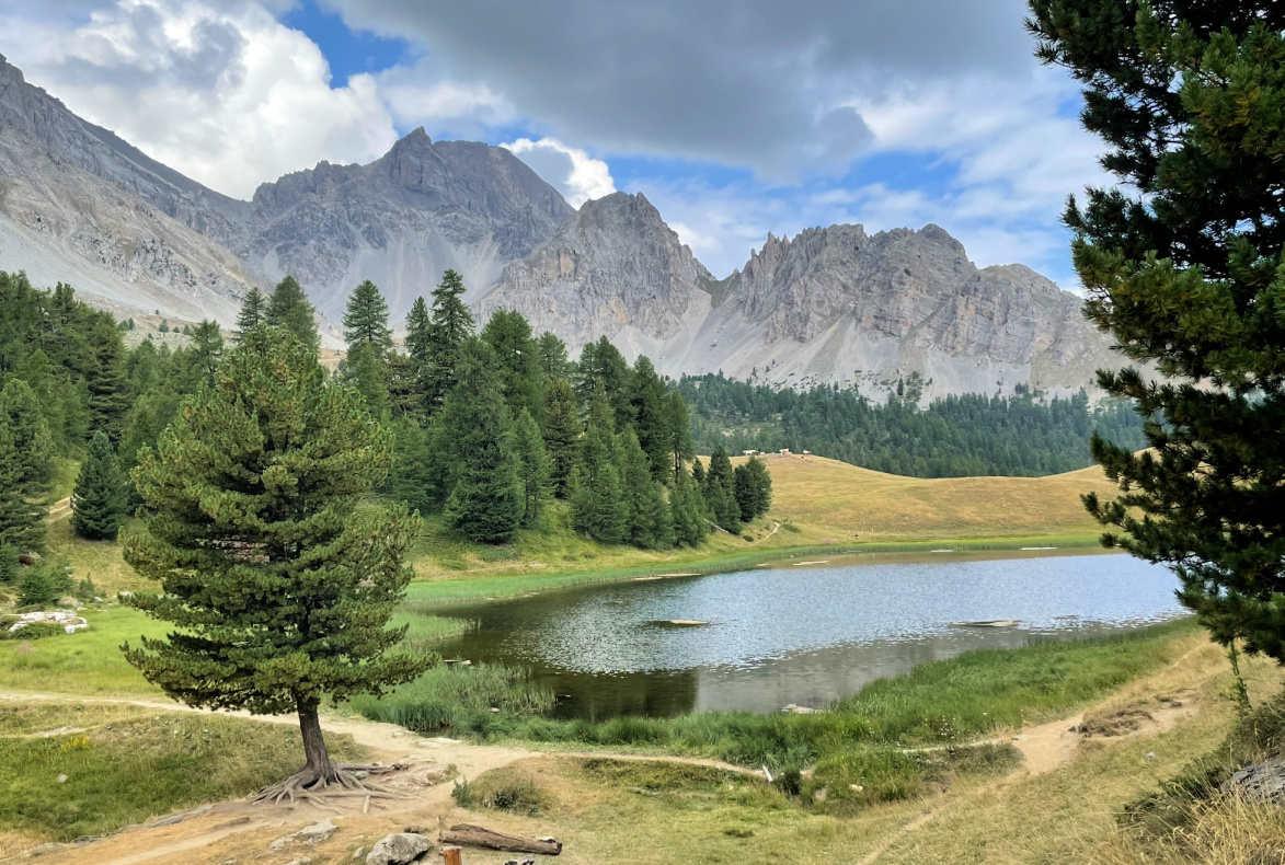 Swiss pine and Lac Miroir