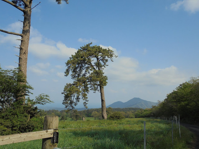 大山牧場みるくの里から孝霊山を望む