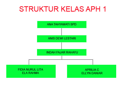 Kegitan APH 1 Dalam lingkungan dan Pramuka SEKILAS 