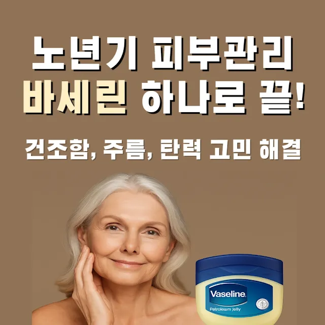 노년기 피부를 위한 바세린 추천, 주름·건조·탄력 케어 이미지