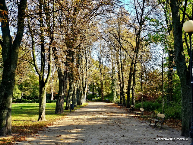 Zygmunt Hellwig Warszawa Warsaw warszawskie parki teren zielony zieleń Stary Mokotów