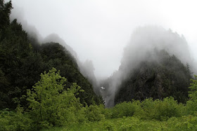 Perry Creek Hike Vista