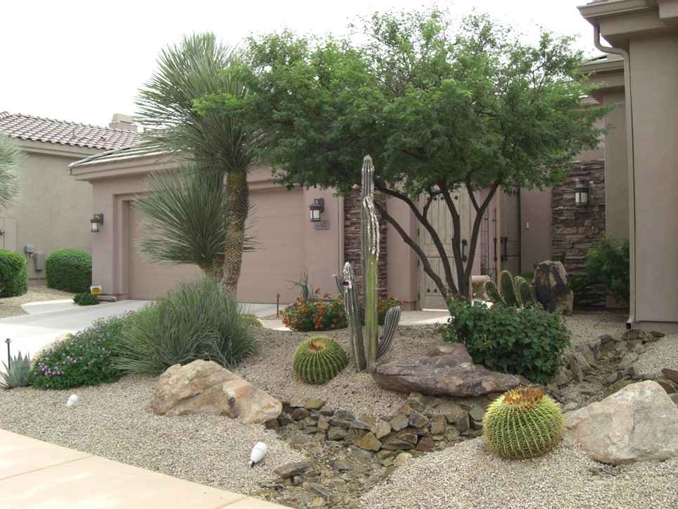 Planning for desert landscaping