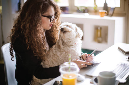 dog and girl at desk