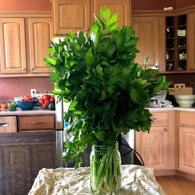 celery stalks in a mason jar