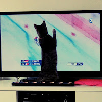 Mogu aime regarder la télé