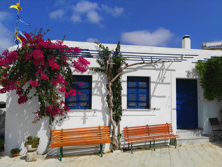 bougainvillier lefkes paros