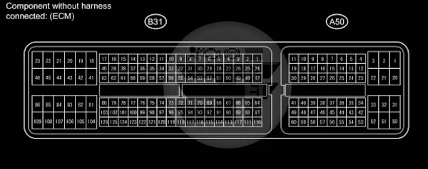 Carolla ECM Pindata Diagram 1