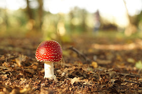 Norfolk countryside landscape photographs 2015