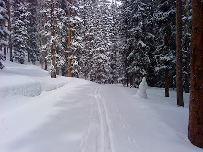 Alberta Lake Trail Pagosa