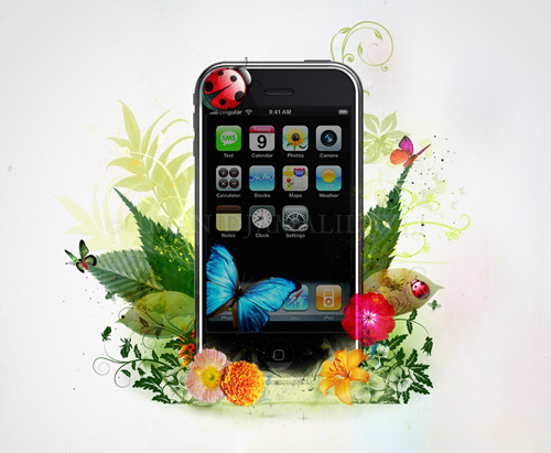 apple iphone 5