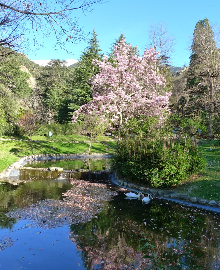 Randonnée de la Cascade des Anglais et du Saint Vincent Canigou 