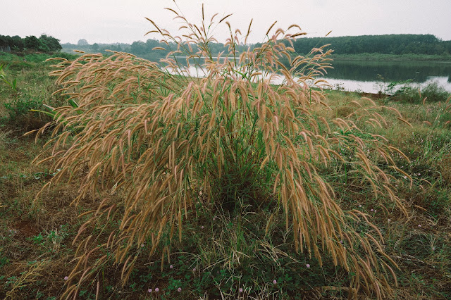 Hồ Suối Vọng