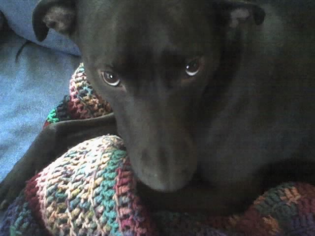 Stella