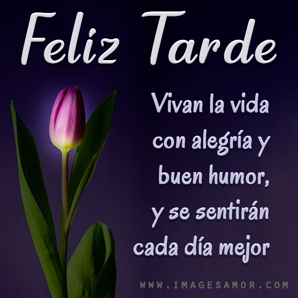 Feliz tarde con frases y mensajes para compartir por whatsapp