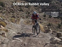 OCRabbit