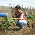 Organizações da agricultura familiar realizarão 6ª Festa Regional das Sementes da Paixão