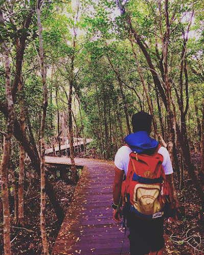 mangrove tracking karimunjaya