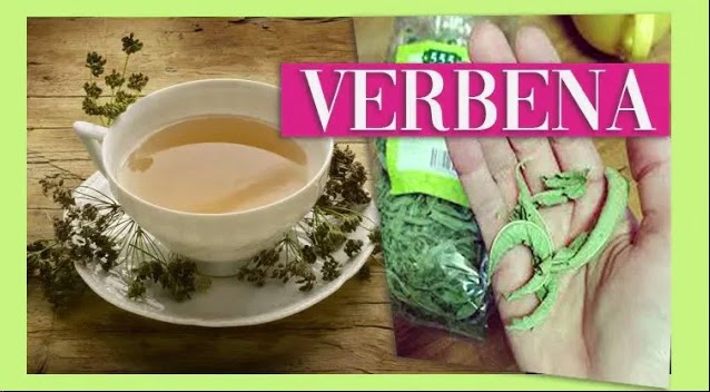 🍃 10 BENEFICIOS de la VERBENA | Propiedades de la INFUSION de Verbena