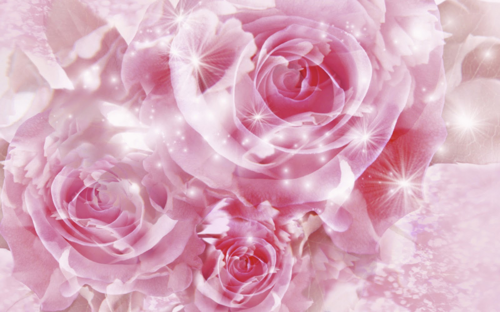Wallpaper Bunga Rose Animation Wallpaper Bunga Rose Animation